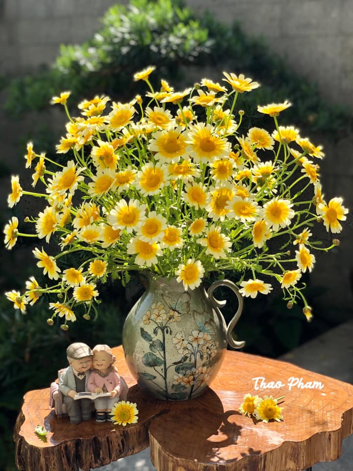 Tử vi hàng ngày - Thứ Sáu 29/7/2022 của 12 cung hoàng đạo